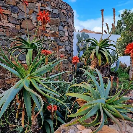 Lägenhet Casita De Lea Costa De Antigua
