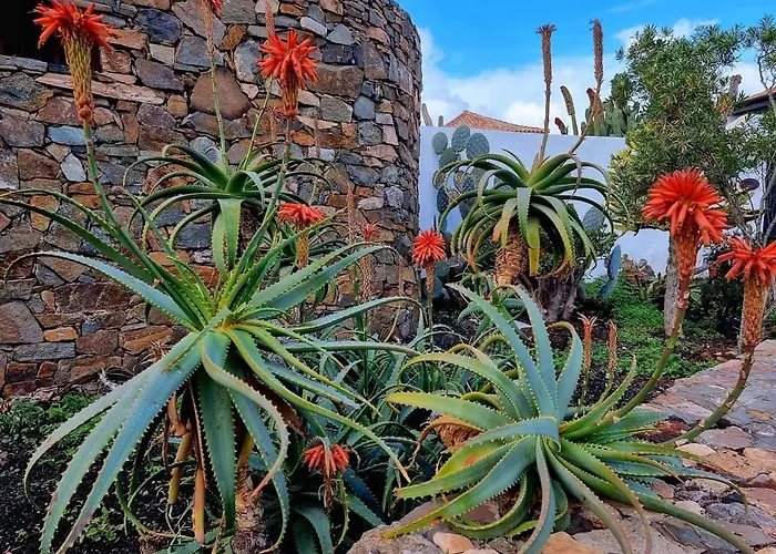 Daire Casita De Lea Costa De Antigua